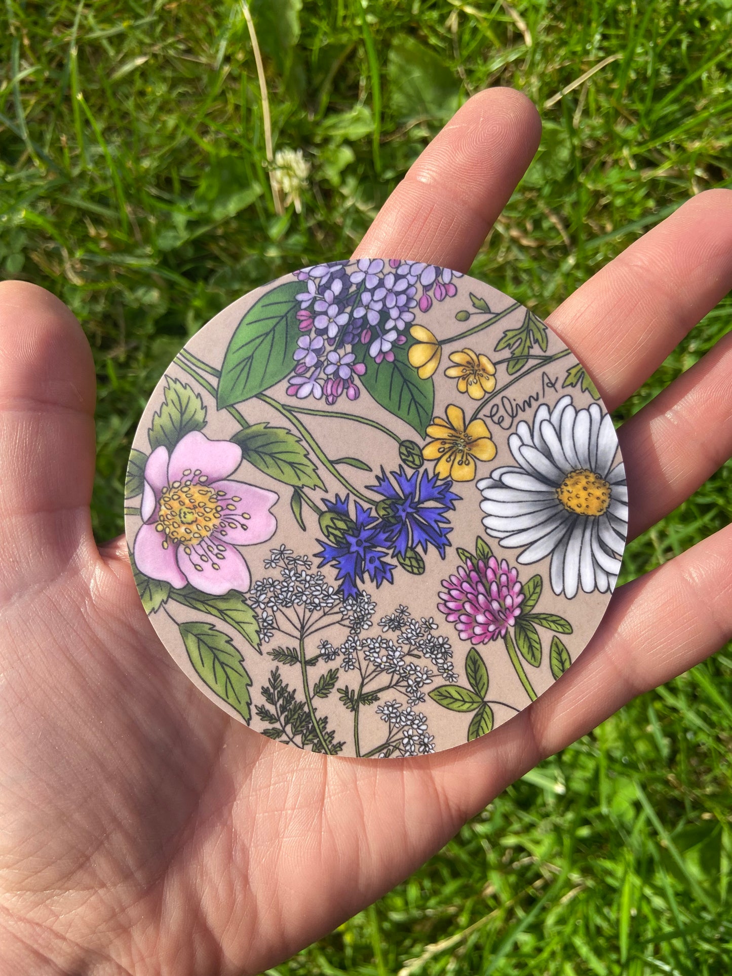 Glasunderlägg: Sommarblommor