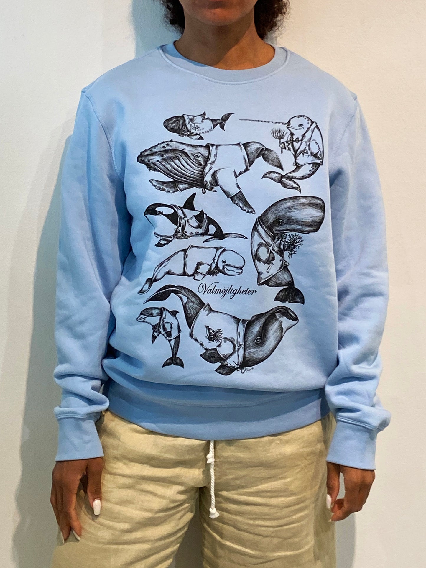 Sweatshirt: Valmöjligheter